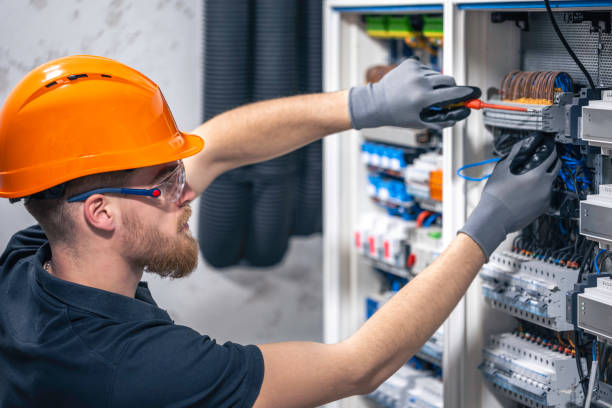 Best Electrician for Home Renovation  in Nes, IL